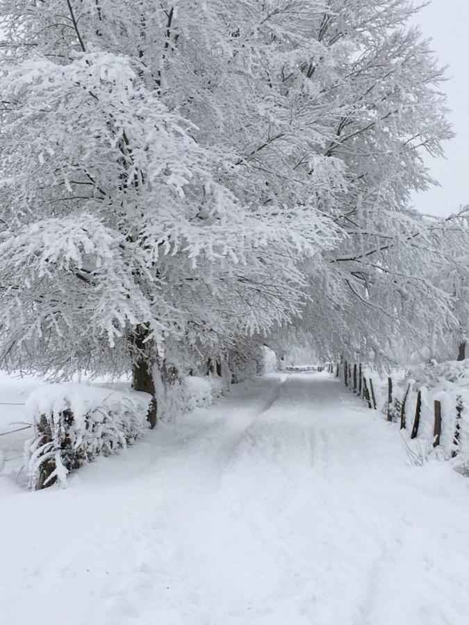 Ferienhaus Janne มอนเชา ภายนอก รูปภาพ
